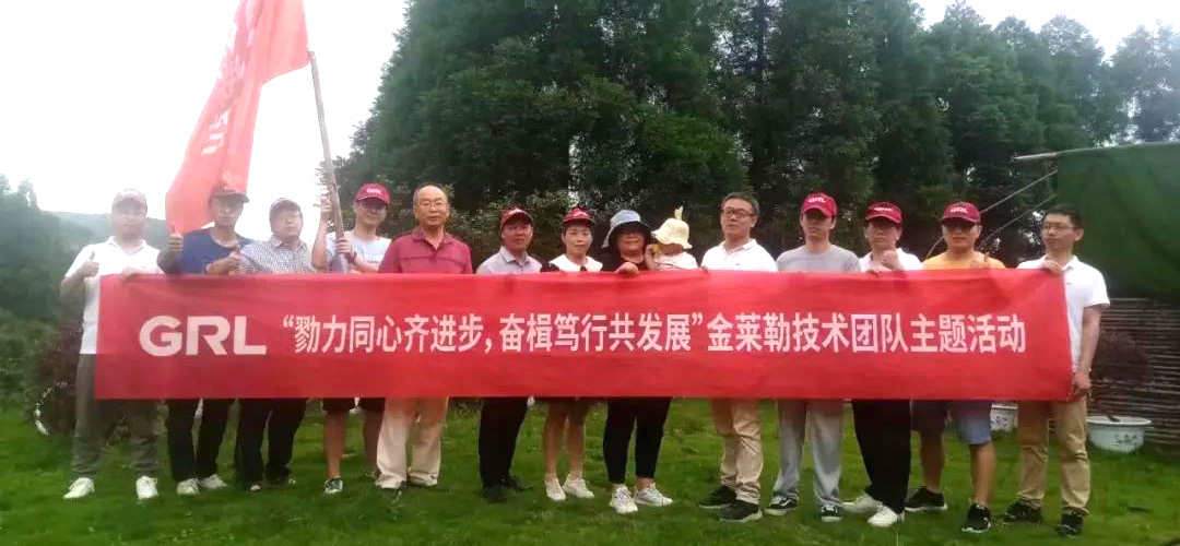 浙江金萊勒電氣有限公司